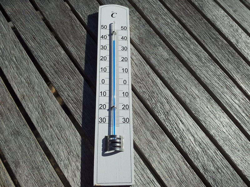 Instant-Read Thermometer